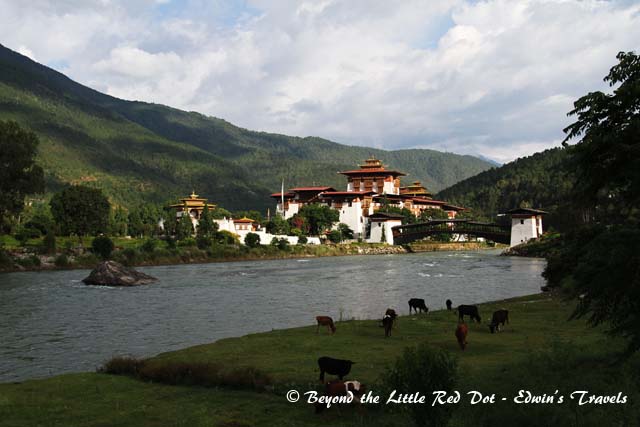 bhutan_punakha_dzong