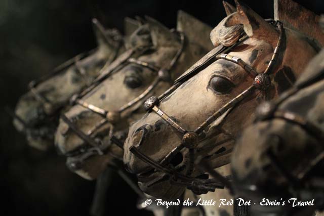 You get to see close ups of the excavated terra cotta figures which range from soldiers to scribes to horses. The amount of craftsmanship that goes into each figure is incredible.