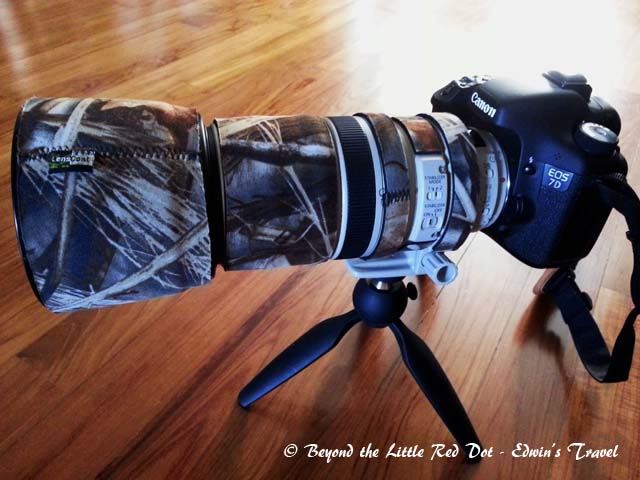 My weapon of choice for shooting birds. I sometimes use a monopod for added support. I find that tripods are too bulky when you are moving around trying to get a good shot.