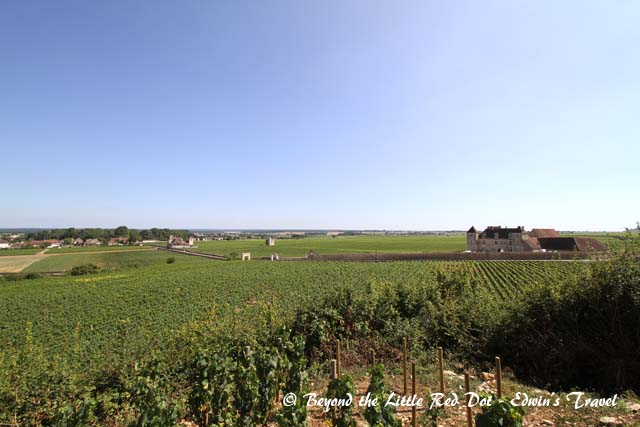 How nice to own a chateau with a vineyard.