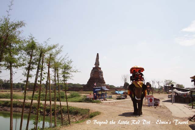 You can take an elephant ride into the ruins. We skipped this as the weather was really hot.