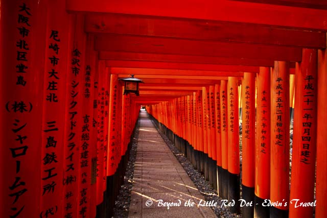 Inside the tori gates, you get a mysterious feeling of being somewhere else.