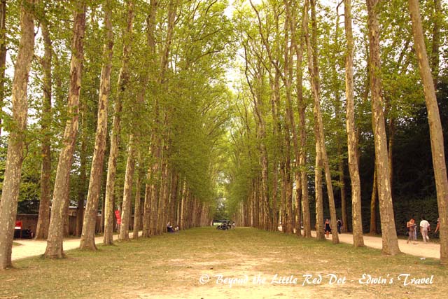 A lot of broad avenues.