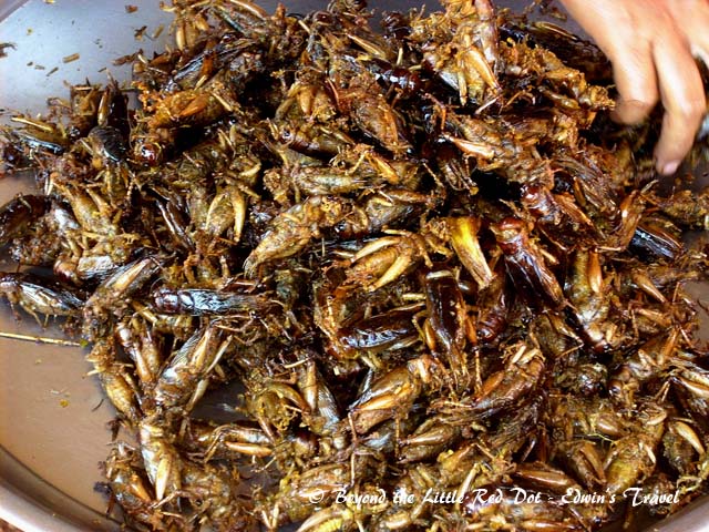 Fried locusts. Quite common in some other countries like Thailand too.