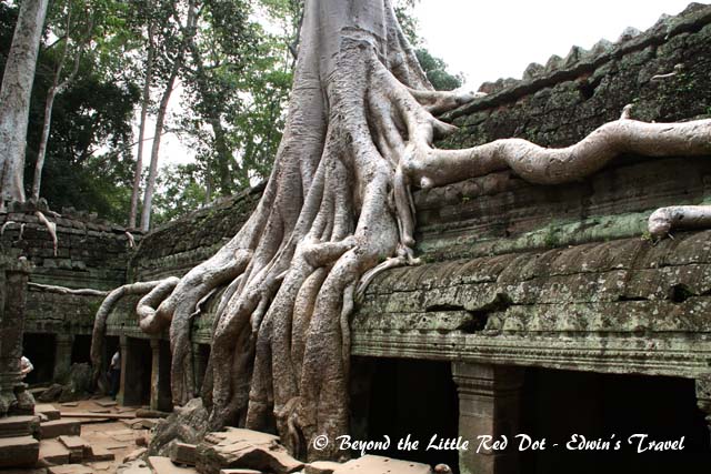 The temple has been left as it is as when it was first discovered.