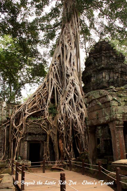 A favourite photo spot, as this scene was used in the Tomb Raider film starring Angelina Jolie.