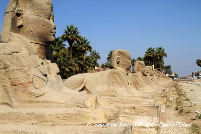 More Sphinxes line the entrance to the temple.