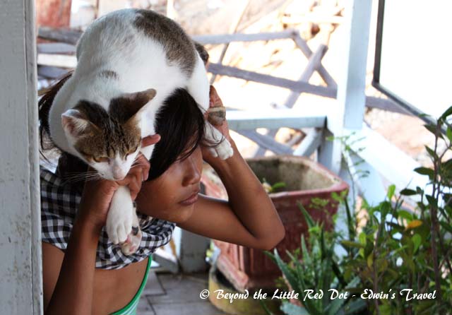 I saw this little girl sneaking around with her cat on her head.