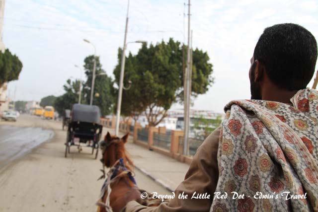 Riding in our horse carriage. Our carriage broke  down halfway due to a broken wheel and they had to send a replacement carriage.