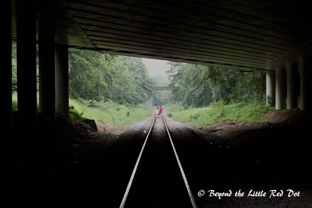 A sense of eeriness under the bridge.
