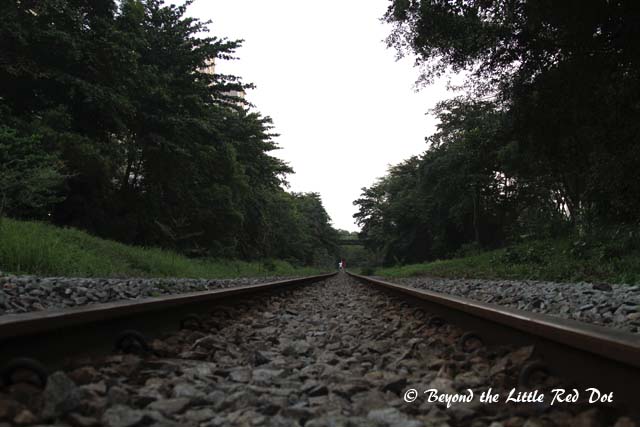 The tracks were silent in the early morning.