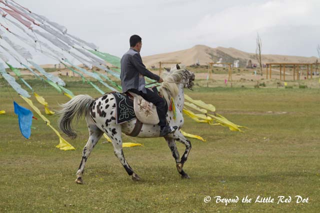 Horse riding is available for a fee of course.