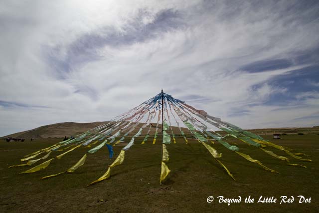 Some Tibetan flags.