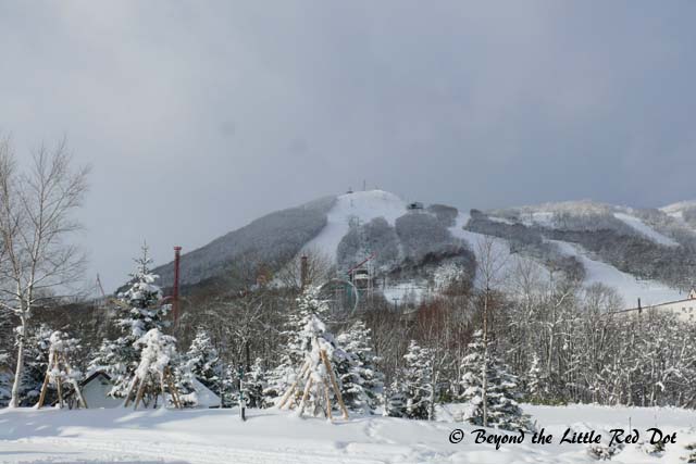 A view of the ski slopes at Rusutsu.