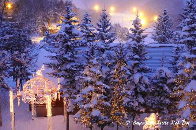 The winter wonderland scene in Rusutsu. This was the view out of my hotel room window.