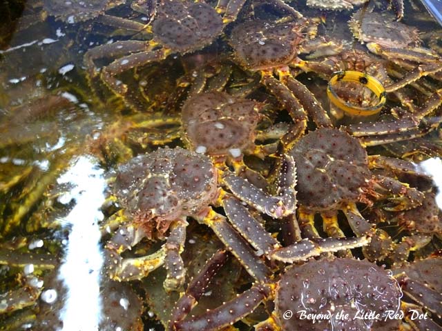 We had our lunch stop. Here they have live crabs for sale.
