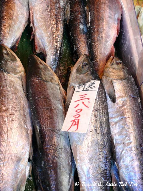 Fresh fish for sale.