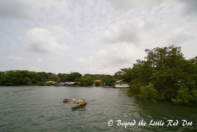 Pulling into Pulau Ubin's jetty. 