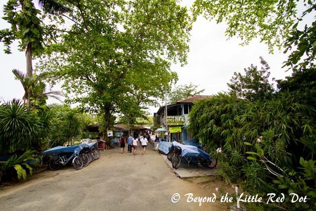 From the jetty the road leads into the Ubin town. You can't miss it, since its the only built up area on the island.