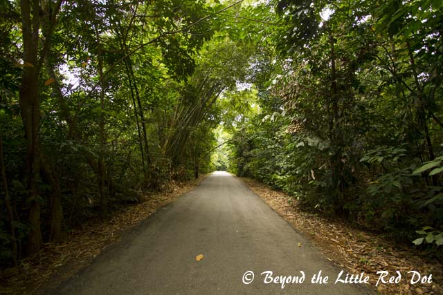 The roads are mostly well maintained.