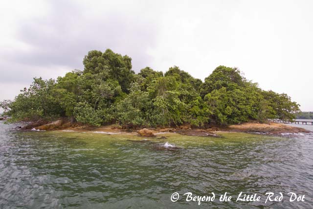 I was there at the wrong time. It was high tide and the inter-tidal zone was submerged. 