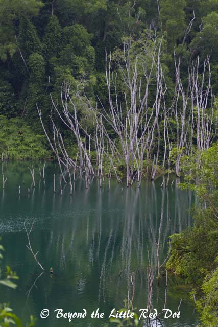 Looks like Jiuzhaigou?