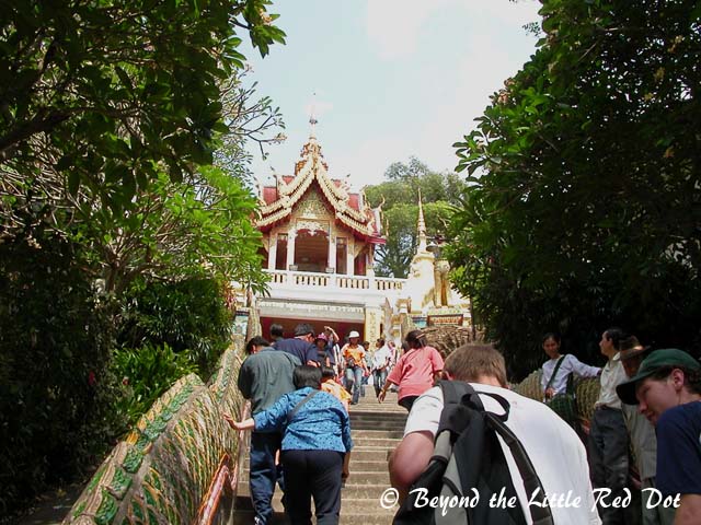 Climbing the 300 plus steps to reach the temple.