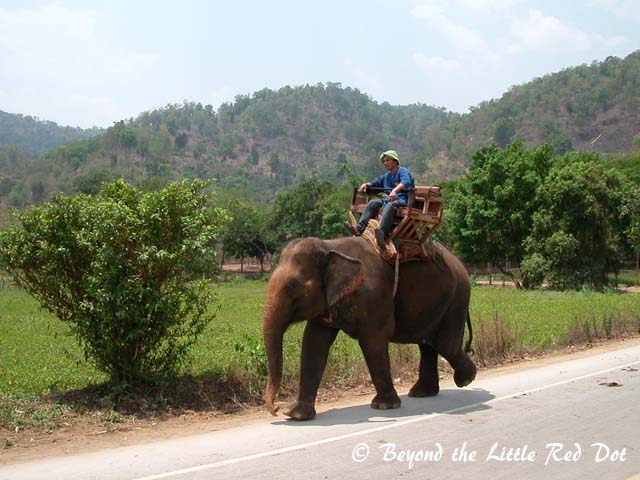 This is how you ride and elephant.