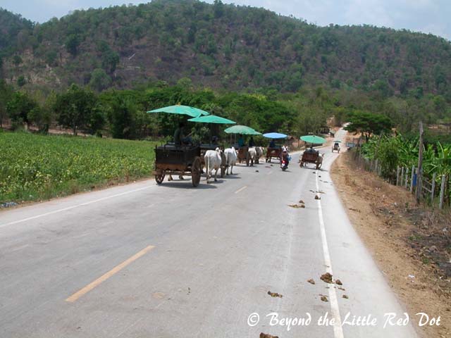 We had a bullock cart ride in between the elephant trekking and river rafting.