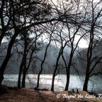 Nami Island, South Korea