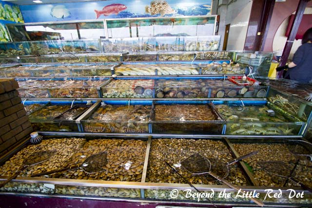 More seafood than you can find at an aquarium.