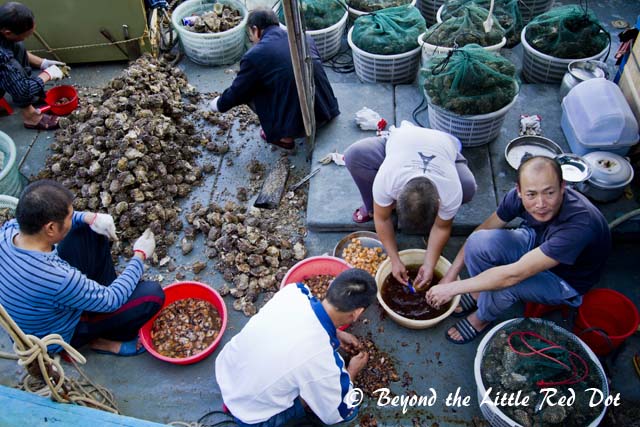 We passed by this boat of guys processing scallops. The scallops will be dried and made into conpoy.