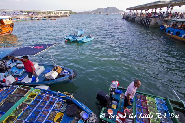 The public pier where you can take boats out to visit the surrounding islands.