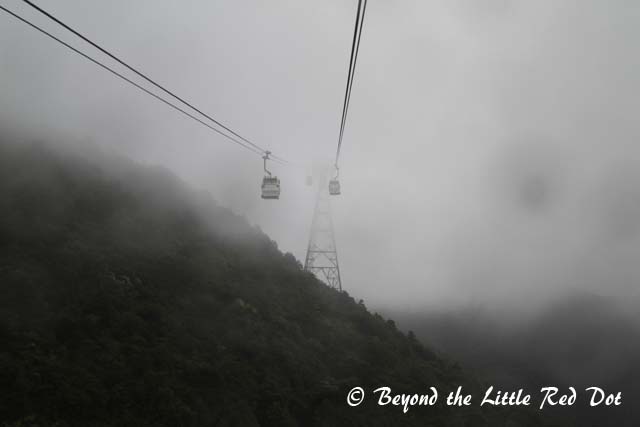 Mist covering the hills as the cable car went up. The wind was very strong and I could see the cable cars swaying quite a bit.