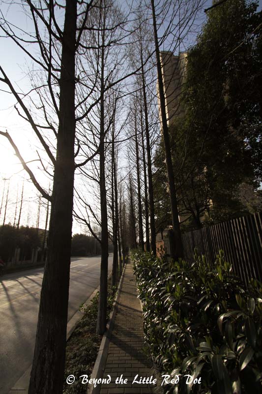 After around half an hour of photo taking I walked back to meet colleagues.