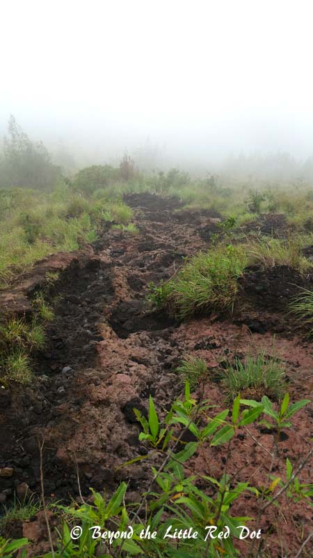 Different coloured lava flows form natural trails to follow, but they can be slippery and steep.