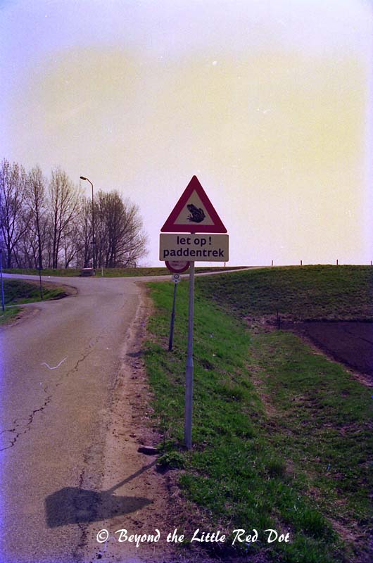 Another sign on the Polders which caught my attention. Eh... frogs crossing the road?