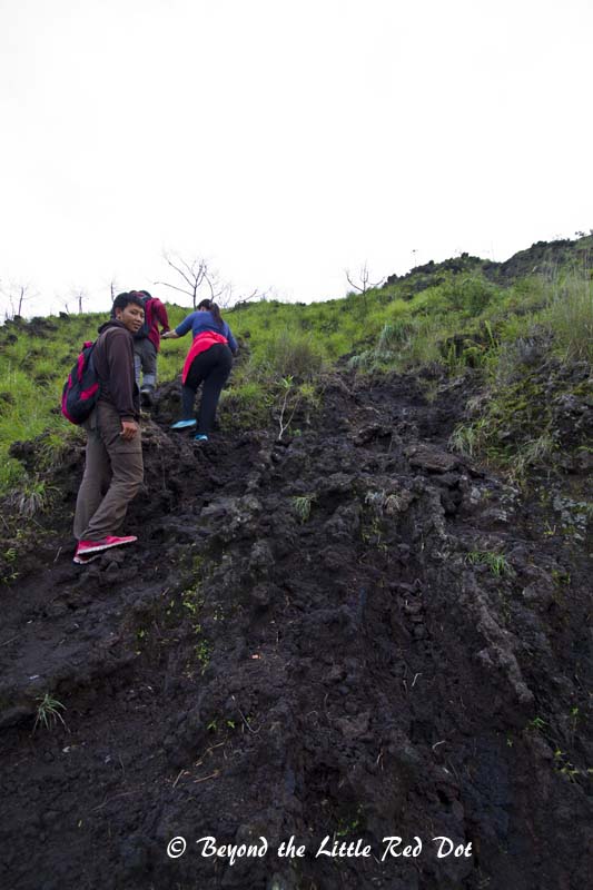 Onwards to the summit. Black lava flows can be seen and they form natural pathways for trekking.