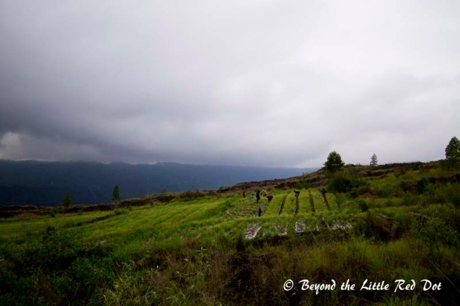 Due to the volcanic soil, the region is fertile and ideal for farming. We passed by chili, tomatos and pepper plantations.