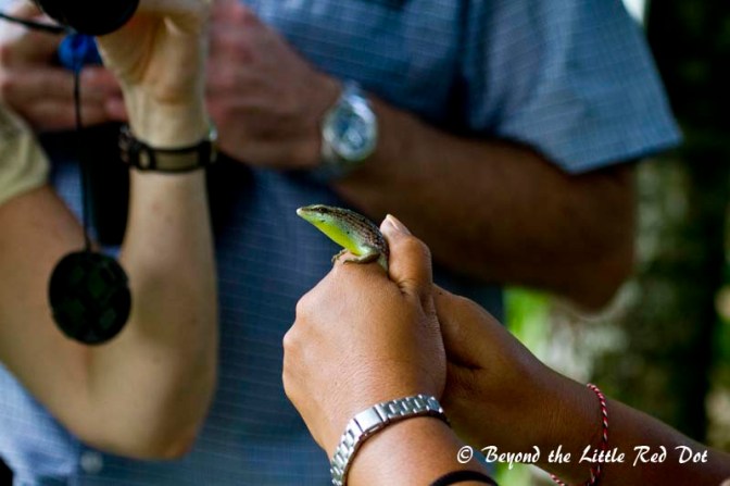Catching a newt too.
