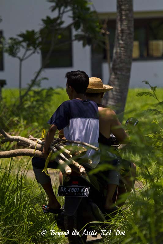 Motorcycles are the main form of transport for getting in and out of the padi fields.
