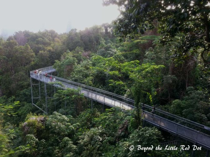 This is the best part of the trail.