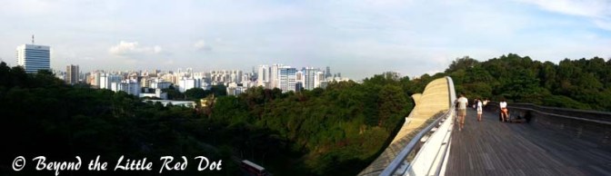 Good views of the city from Henderson Waves Bride.
