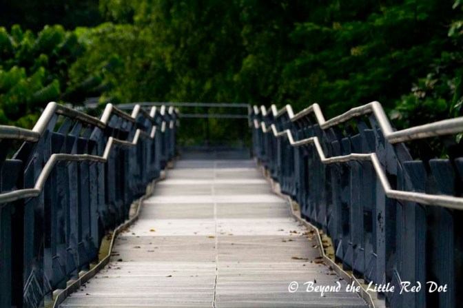 The Forest Walk goes uphill if you going towards Telok Blangah Hill.