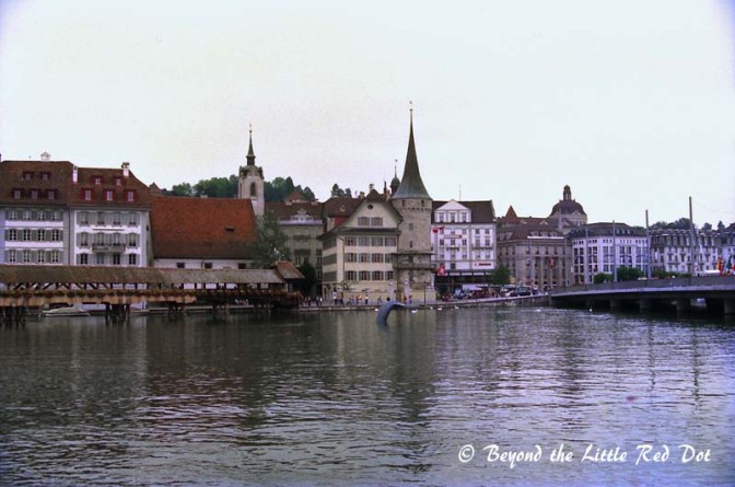 I don't know why they had that fake whale's tail in the water then. I hope they have removed it by now.