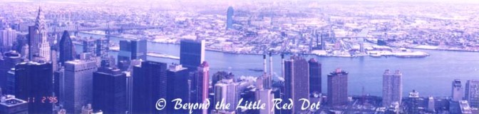 The view of the East River and Brooklyn in the background. The Chrysler Building can be seen on the bottom left corner.