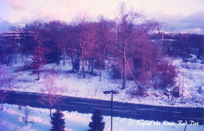 The Long Island countryside all covered in snow.