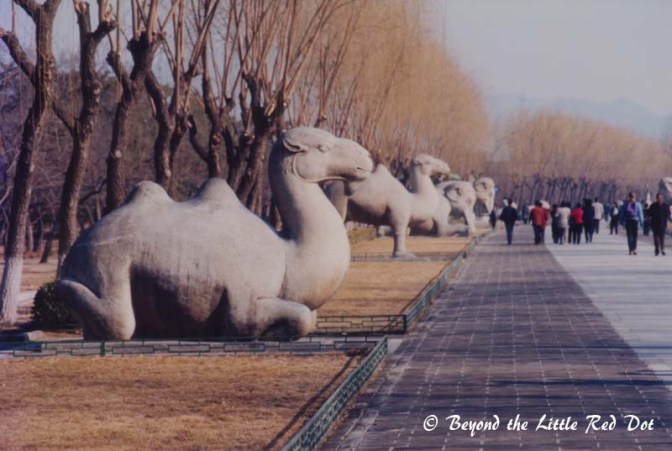 More of the stone animal statues. The camels caught my eye since they only live in the deserts of western China and are not native to northern China.