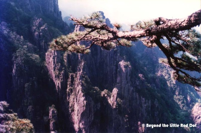 More pine trees and rock scenery.