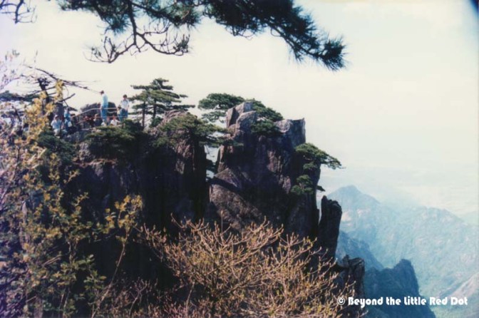 Viewing platforms which are built near the edge of vertigo inducing cliffs.
